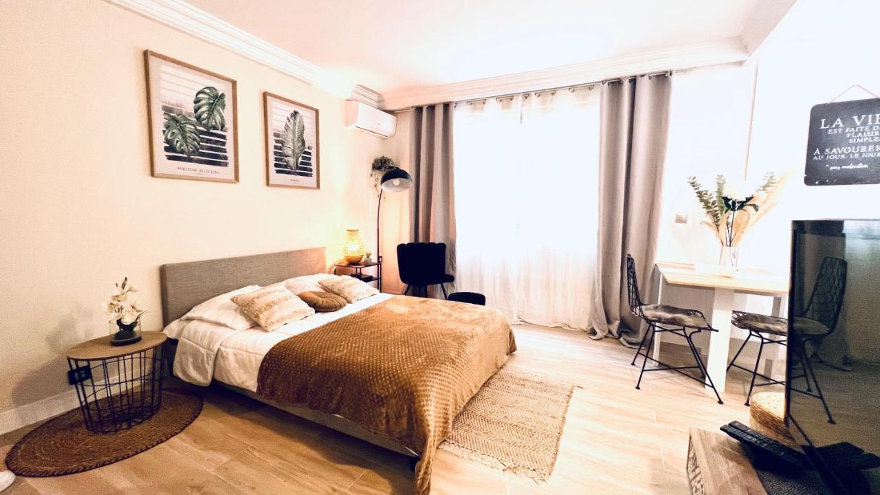 Le Miramar Nice - Clim, Parking, Wifi Et Piscine Luaran gambar