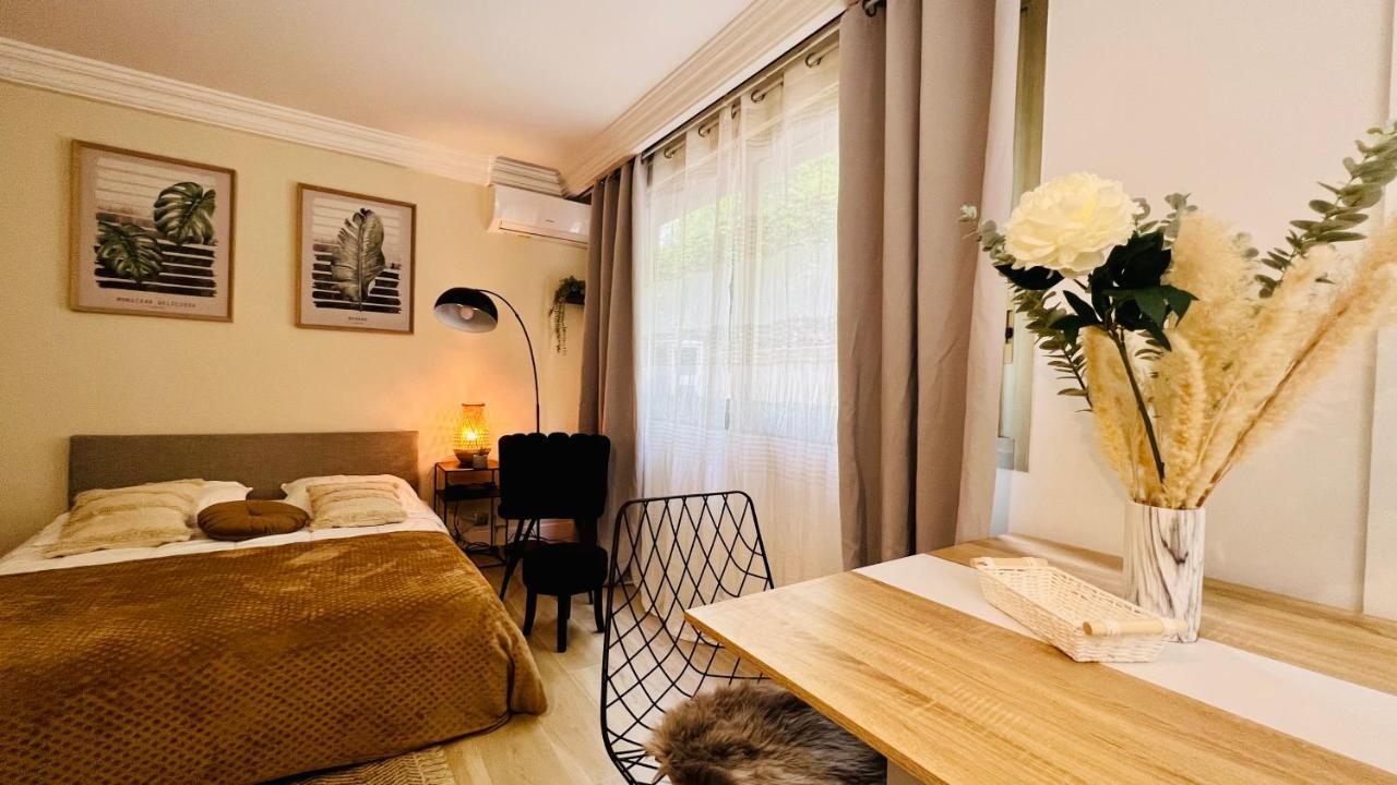 Le Miramar Nice - Clim, Parking, Wifi Et Piscine Luaran gambar