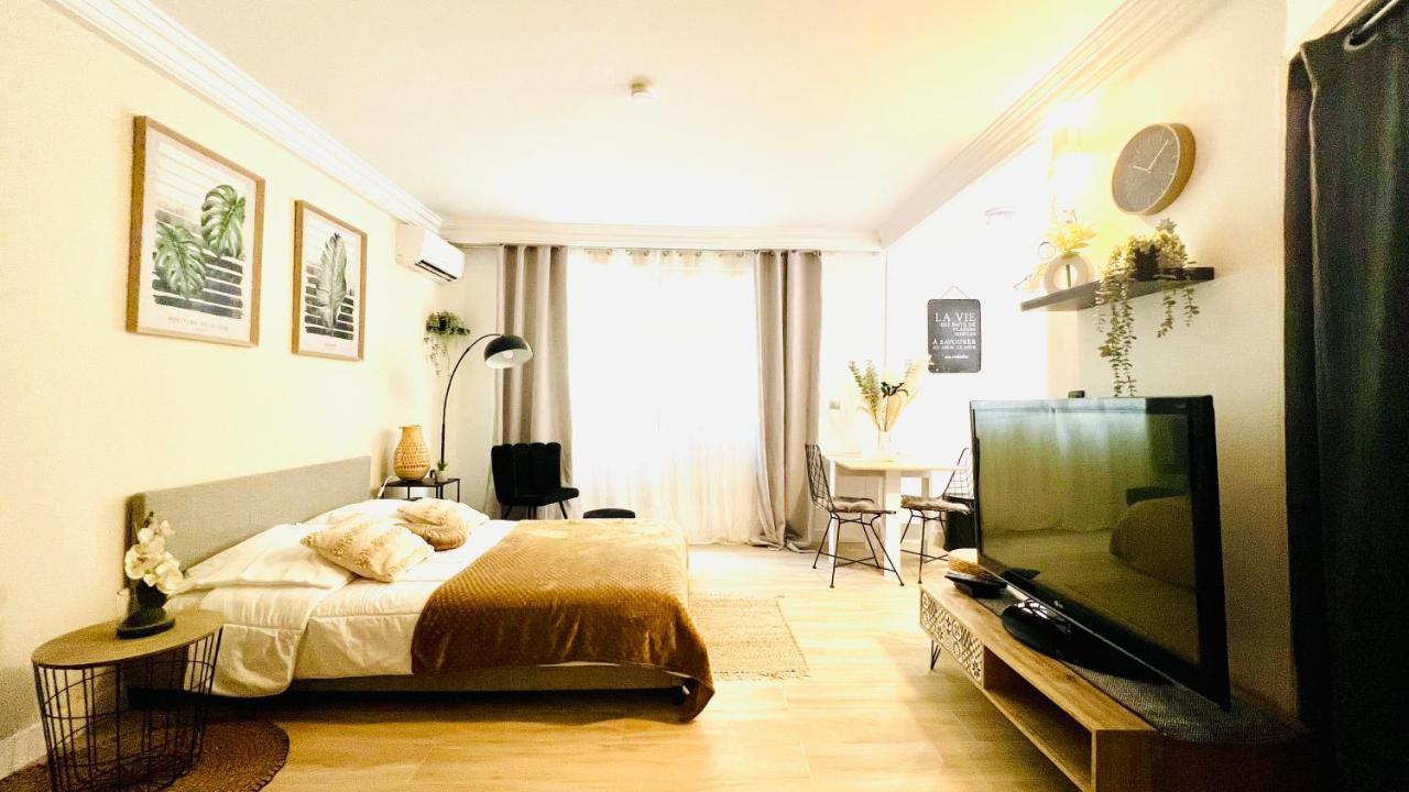 Le Miramar Nice - Clim, Parking, Wifi Et Piscine Luaran gambar